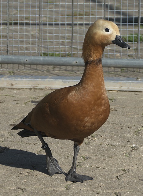 下功夫